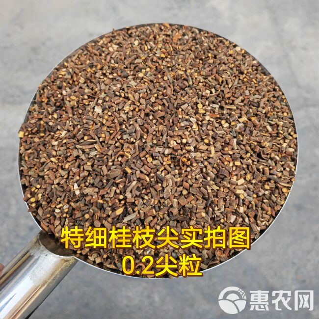 2斤起批特细0.2规格桂枝尖另卖桂枝颗粒量大更优惠