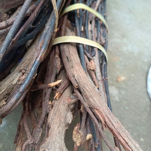 梧州岗松树寄生，扫杆枝寄生。只有几斤