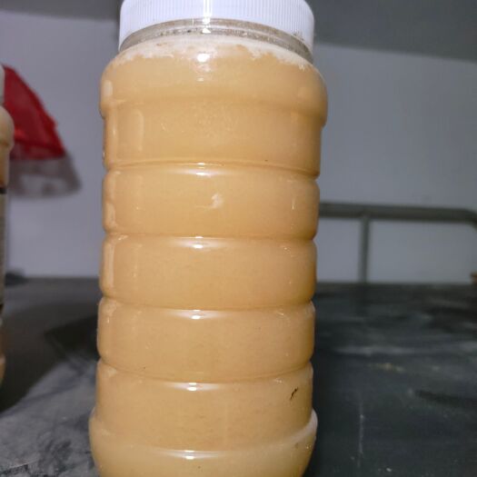 孝义市自己养殖的蜜蜂