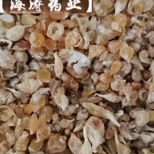 【薤白】产地山东实物拍摄一手货源大货供应规格齐全量大优惠。