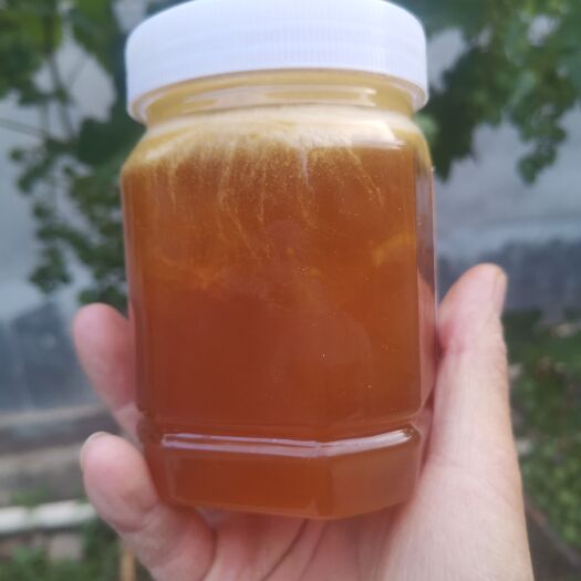 凤县秦岭深山蜂蜜百花蜜狼牙蜜凤县土蜂蜜
