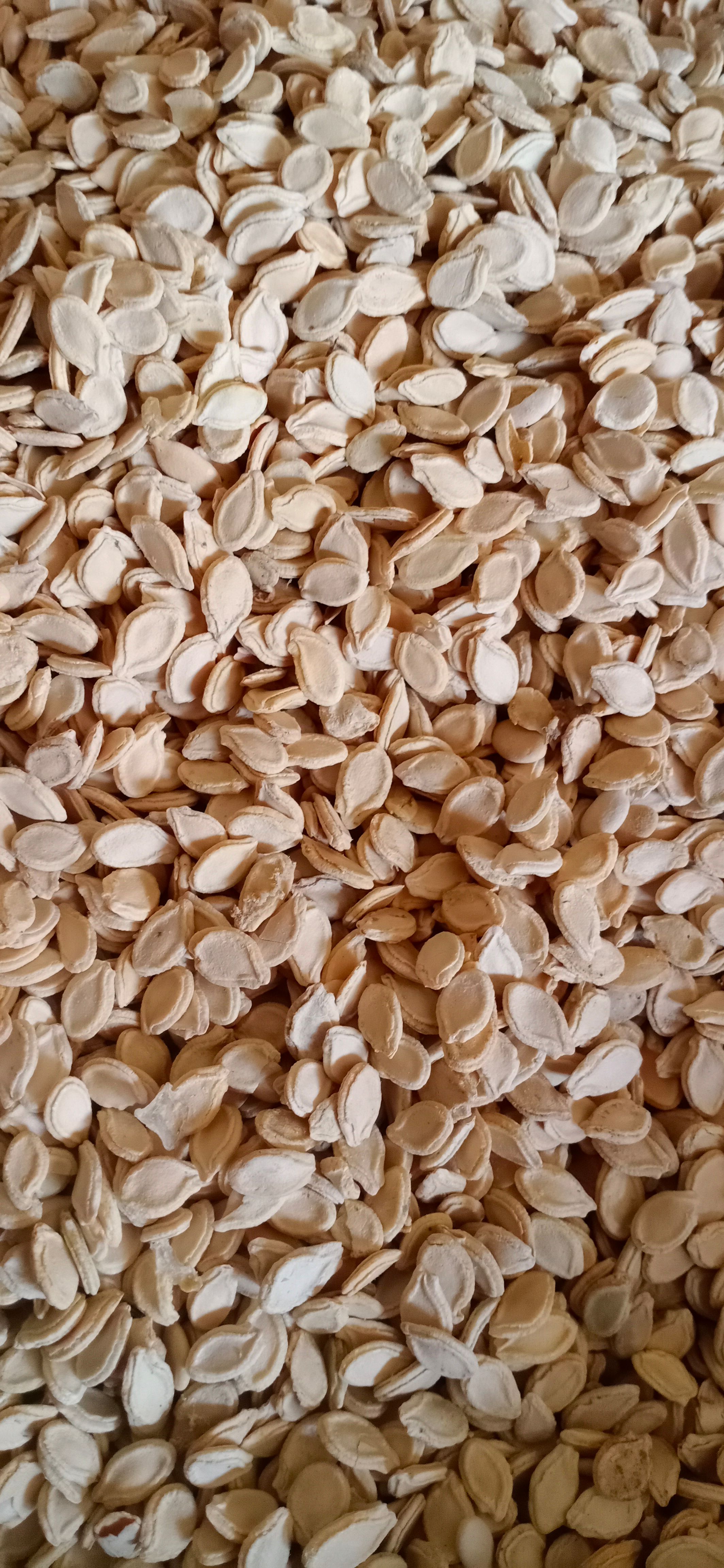 【冬瓜子】产地东北海涛药业中药材批发一手货源规格齐全量大优惠