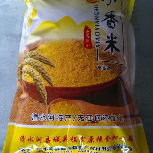 【黄金产区】清水河县小香米-国家地理标志保护产品 谷米