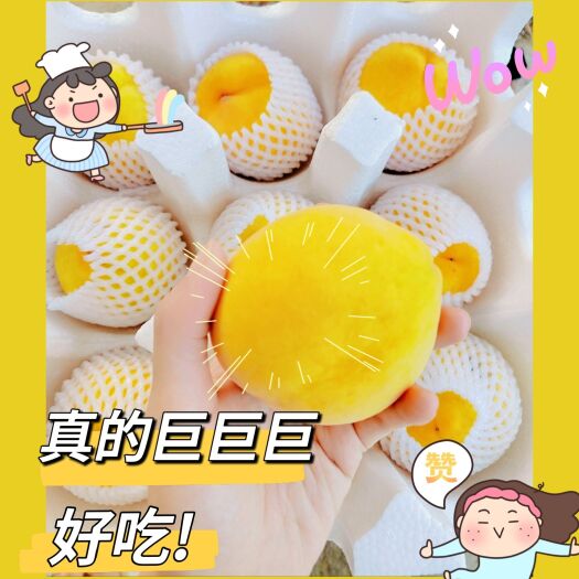 临武县锦绣黄桃