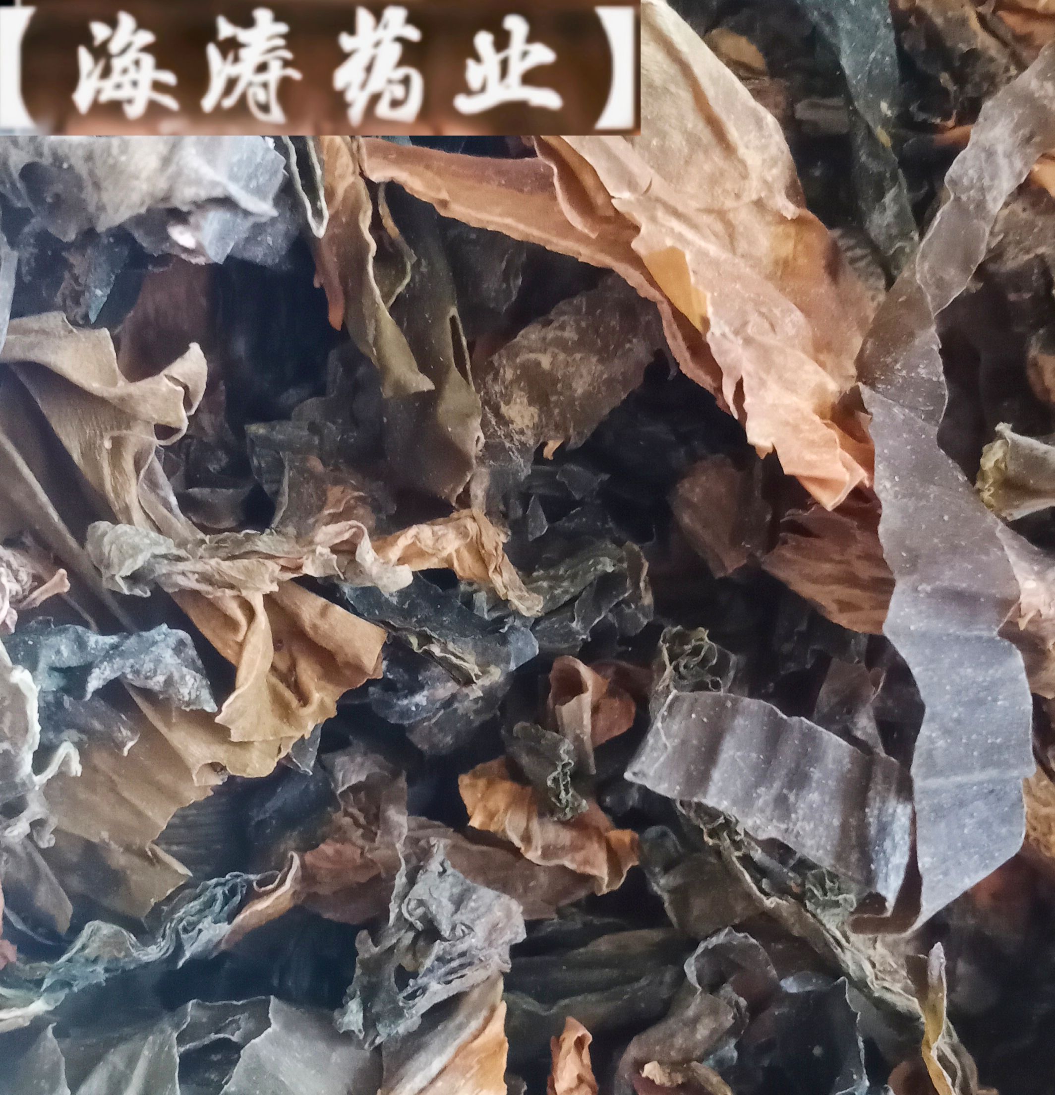 【昆布】产地山东实物拍摄一手货源大货供应规格齐全量大优惠。