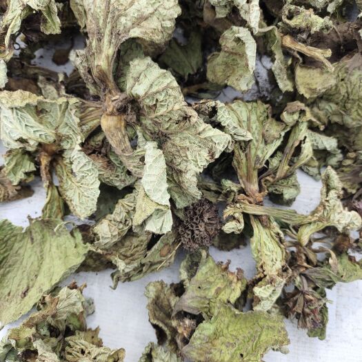 独一味，干度，颜色都很好