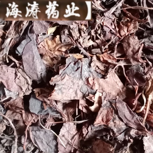 【鹿衔草】鹿晗草产地东北一手货源大货供应规格齐全量大优惠。