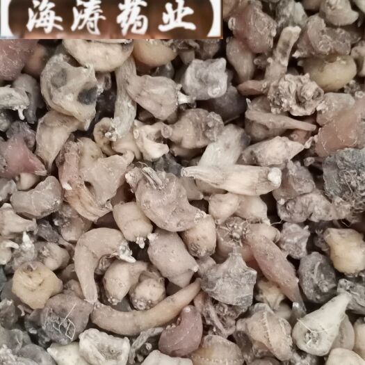 鄄城县【山慈菇】产地东北实物拍摄一手货源大货供应规格齐全量大优惠。
