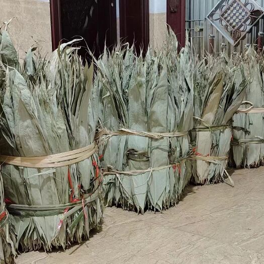 永安市新鲜粽叶烤干和晒干粽叶