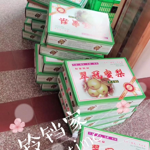 常州梨，焦溪蜜梨，翠冠梨