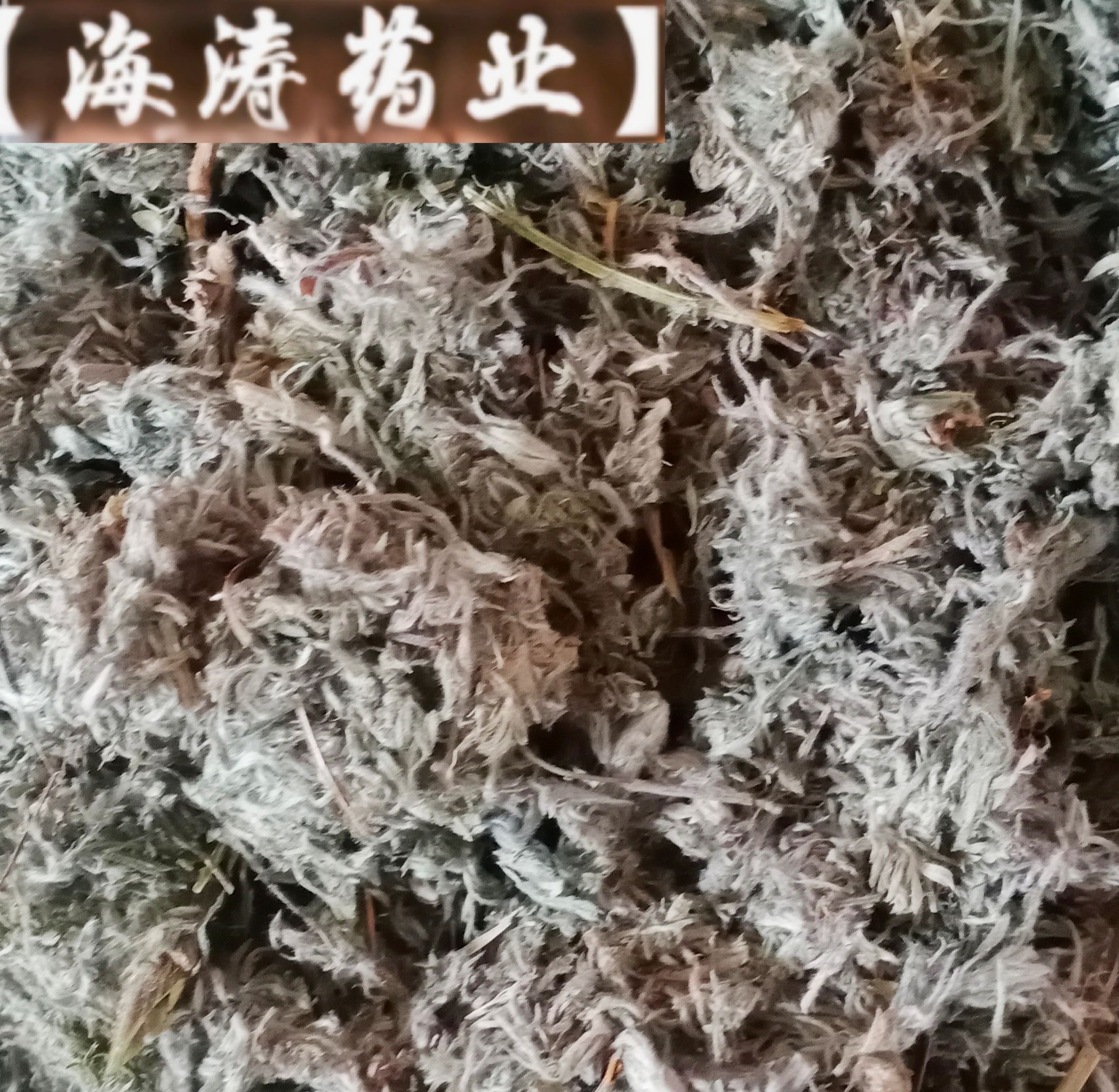 【菌陈】产地山西实物拍摄一手货源大货供应规格齐全量大优惠。