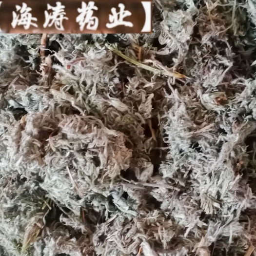 【菌陈】产地山西实物拍摄一手货源大货供应规格齐全量大优惠。
