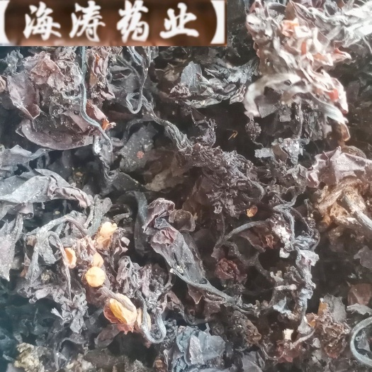 鄄城县【海藻】产地山东实物拍摄一手货源大货供应规格齐全量大优惠。