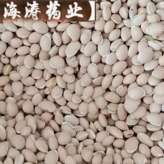 鄄城县【白扁豆】产地云南实物拍摄一手货源大货供应规格齐全量大优惠。