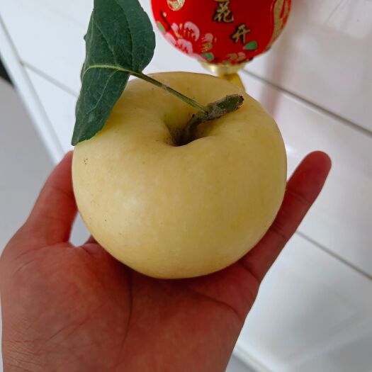宁陵县脆甜苹果