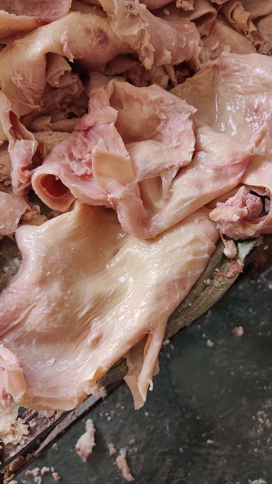 牛筋  熟牛腩筋，烧烤专用产品，欢迎各位老板来电洽谈