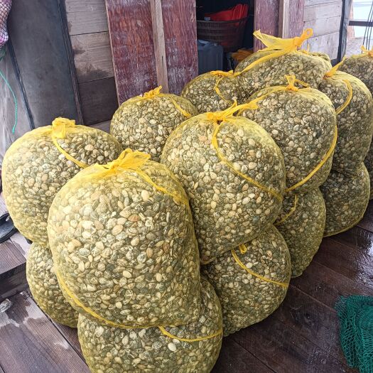 连江县闽江口粗芦岛蛤蜊花甲