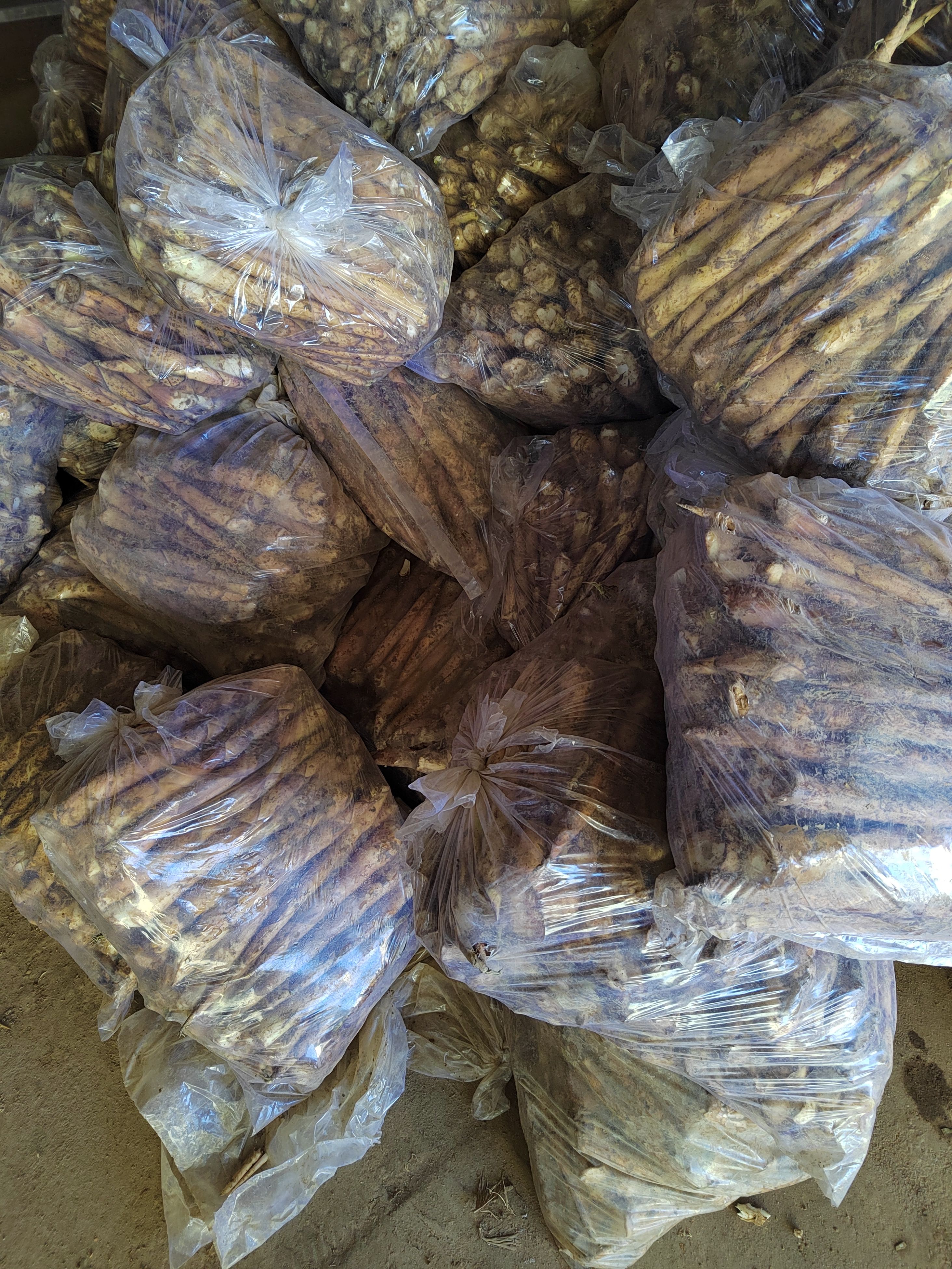 江西特产毛竹之乡宜黄水煮笋罐头散装桶装预制菜油焖笋原材料竹笋