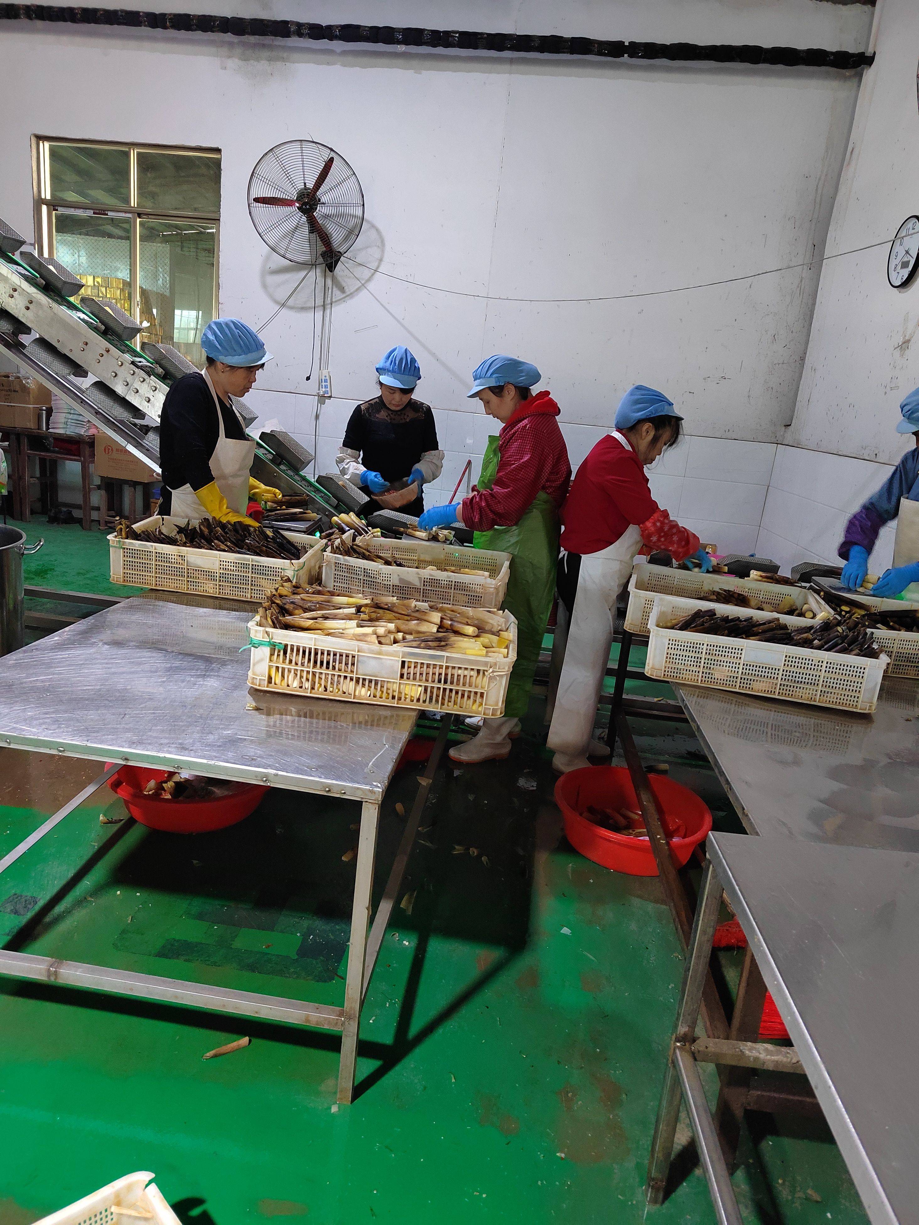 江西特产毛竹之乡宜黄水煮笋罐头散装桶装预制菜油焖笋原材料竹笋