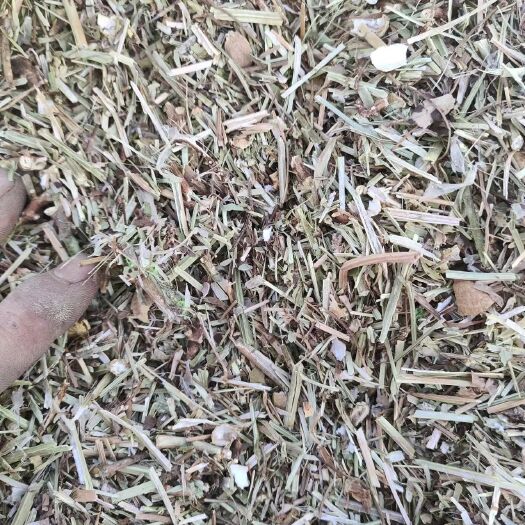 滦州市牛羊秸秆干草