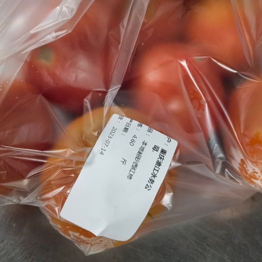 杭州特大白菜