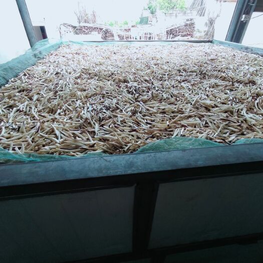 建水县紫茄干茄子丝《自产自销》，粗细规格可定制