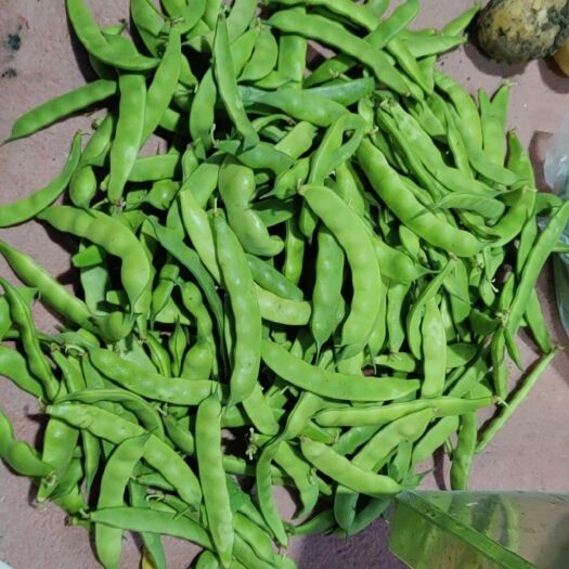 德惠市绿龙豆角