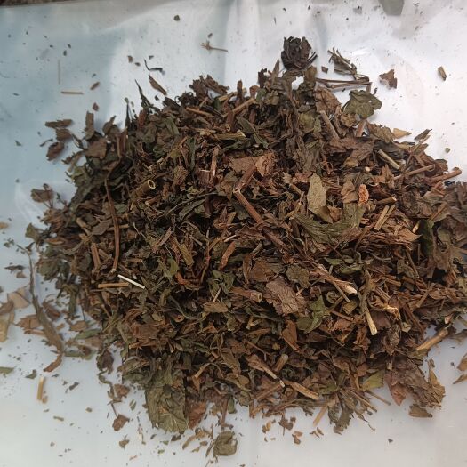 玉林中草药现货供应佩兰别名有兰草香草大泽兰燕尾香香水兰