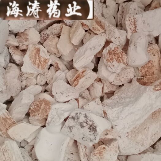 鄄城县【龙骨】产地宁夏实物拍摄一手货源大货供应规格齐全量大优惠。