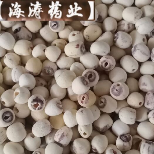 鄄城县【莲子】产地湖南实物拍摄一手货源大货供应规格齐全量大优惠。