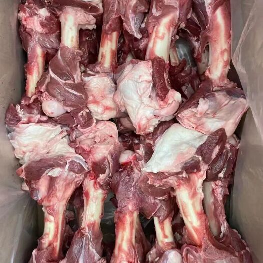 献县带肉羊棒骨