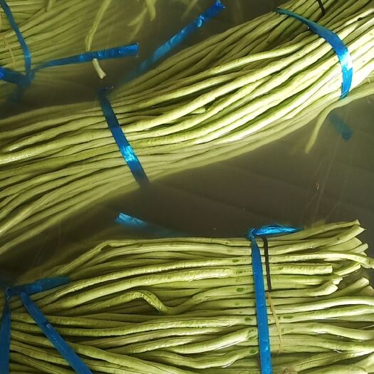 开封长豆条