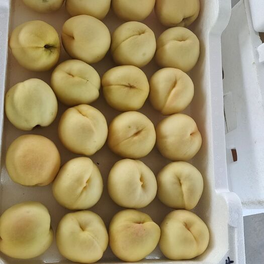 深州市白桃
