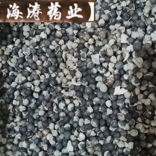 【蔓荆子】产地广西实物拍摄一手货源大货供应规格齐全量大优惠。