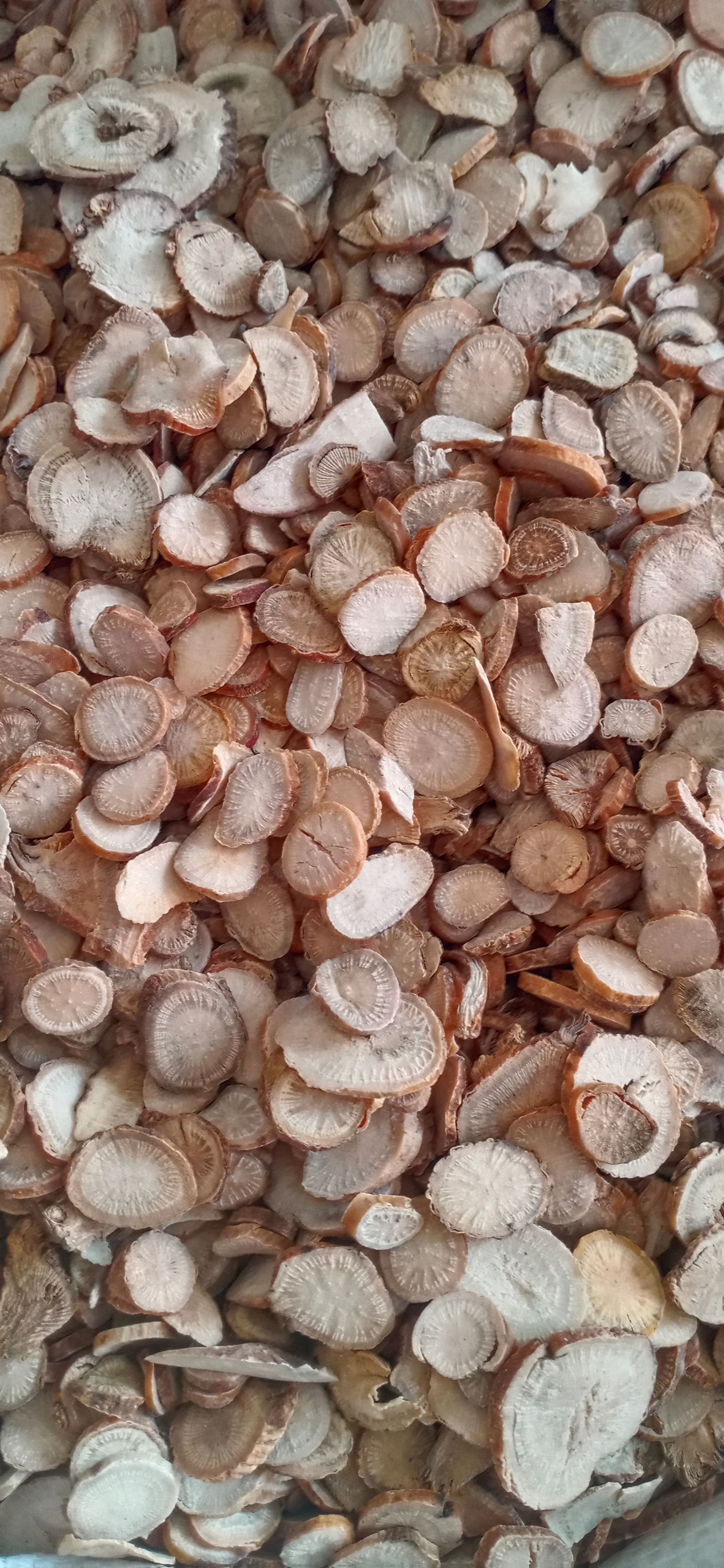 山东菏泽白芍根茎中药材 高品质甄选鄄城直发