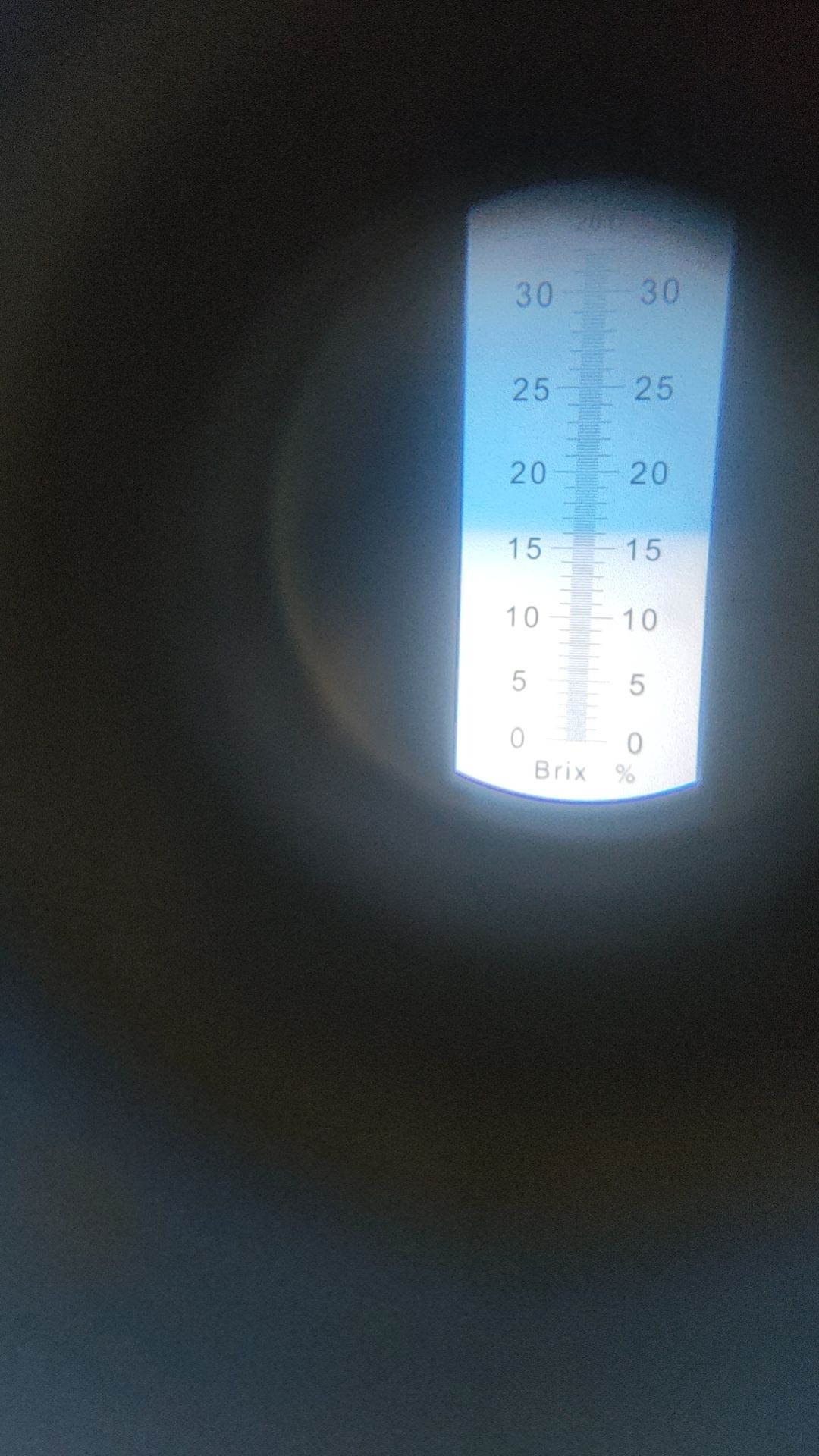 自种植】广西横县阳光玫瑰