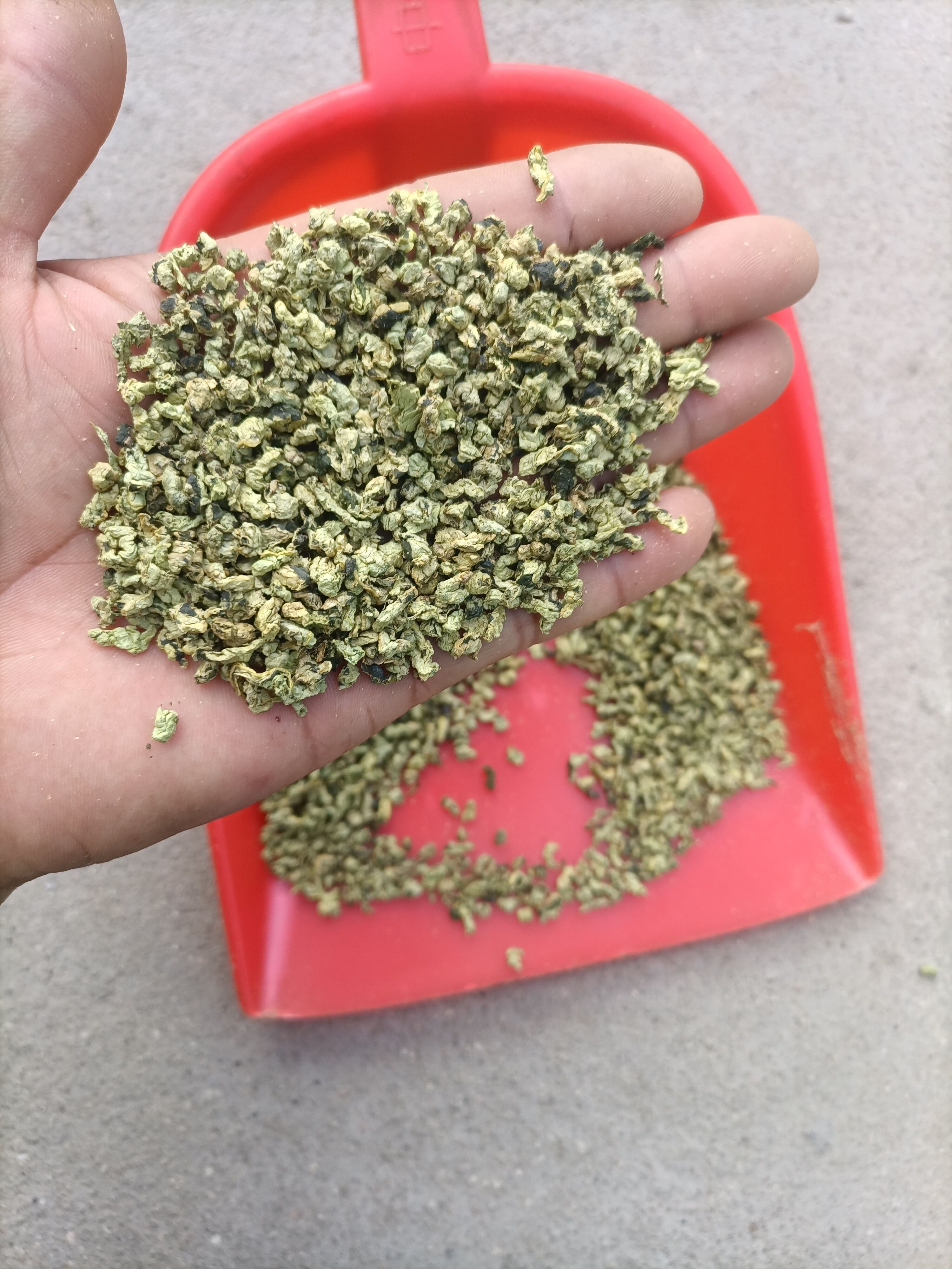 荷叶茶批发