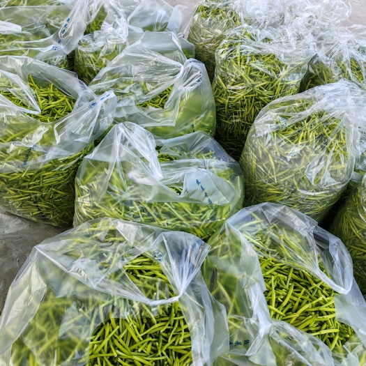 新泰市黄花菜