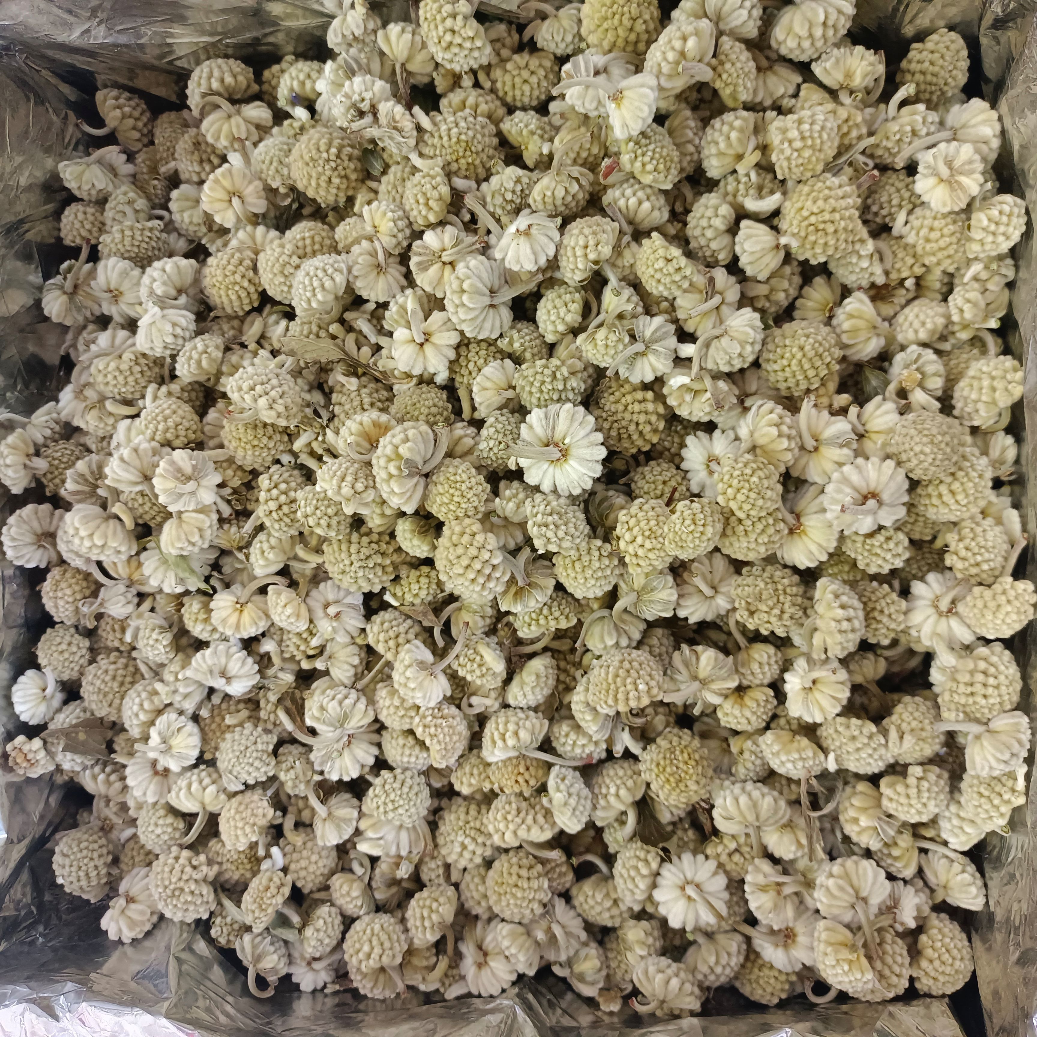 绿萝花 绿萝花茶 500g散装花草茶批发 西藏绿萝雪丽花