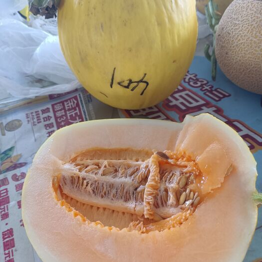 民勤县西州蜜，金红宝