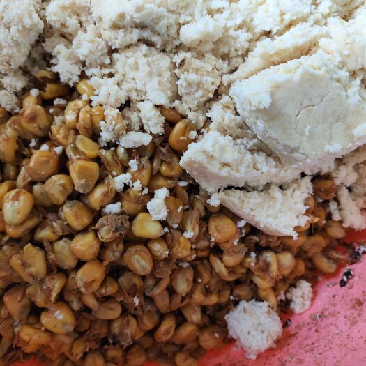 广西整颗粒玉米高粱豆渣预混料豆渣批发发酵豆渣喂牛羊猪饲料