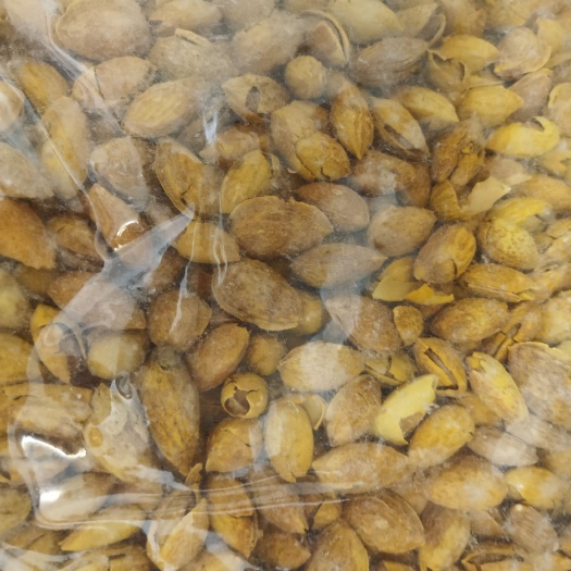 乌鲁木齐新疆喀什莎车县巴旦木