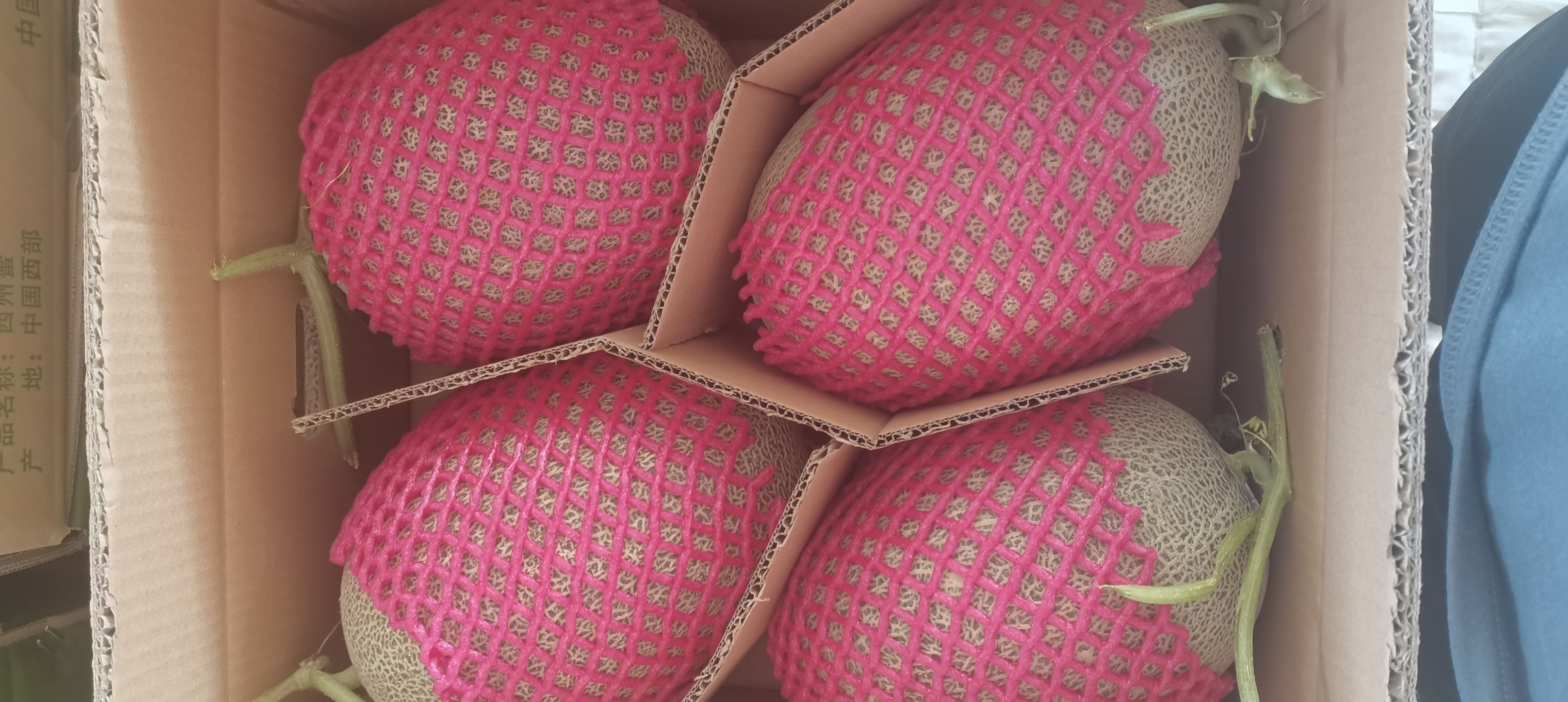 甘肃民勤西州蜜17，糖度高口感好，价格便宜。