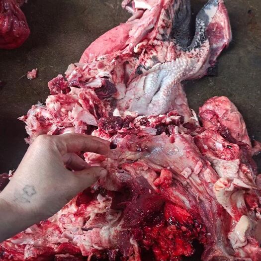 阳信县火烧毛去骨牛头肉