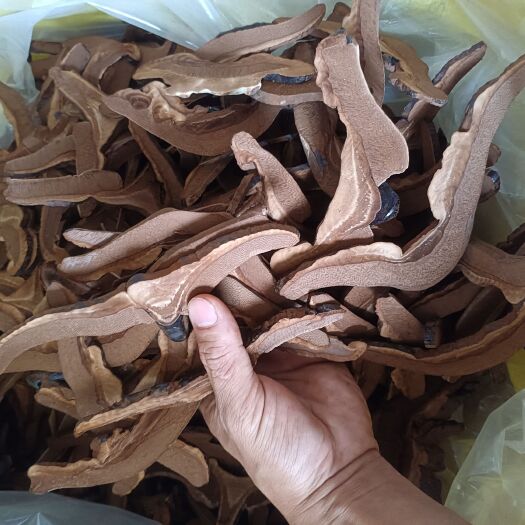 寻乌县灵芝片通货