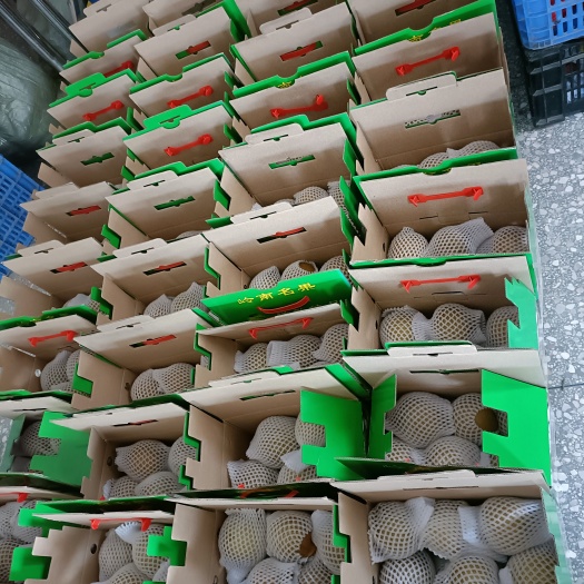 翁源县自家种的水晶梨，优质产品，汁多肉嫩清甜爽口，好食好味。