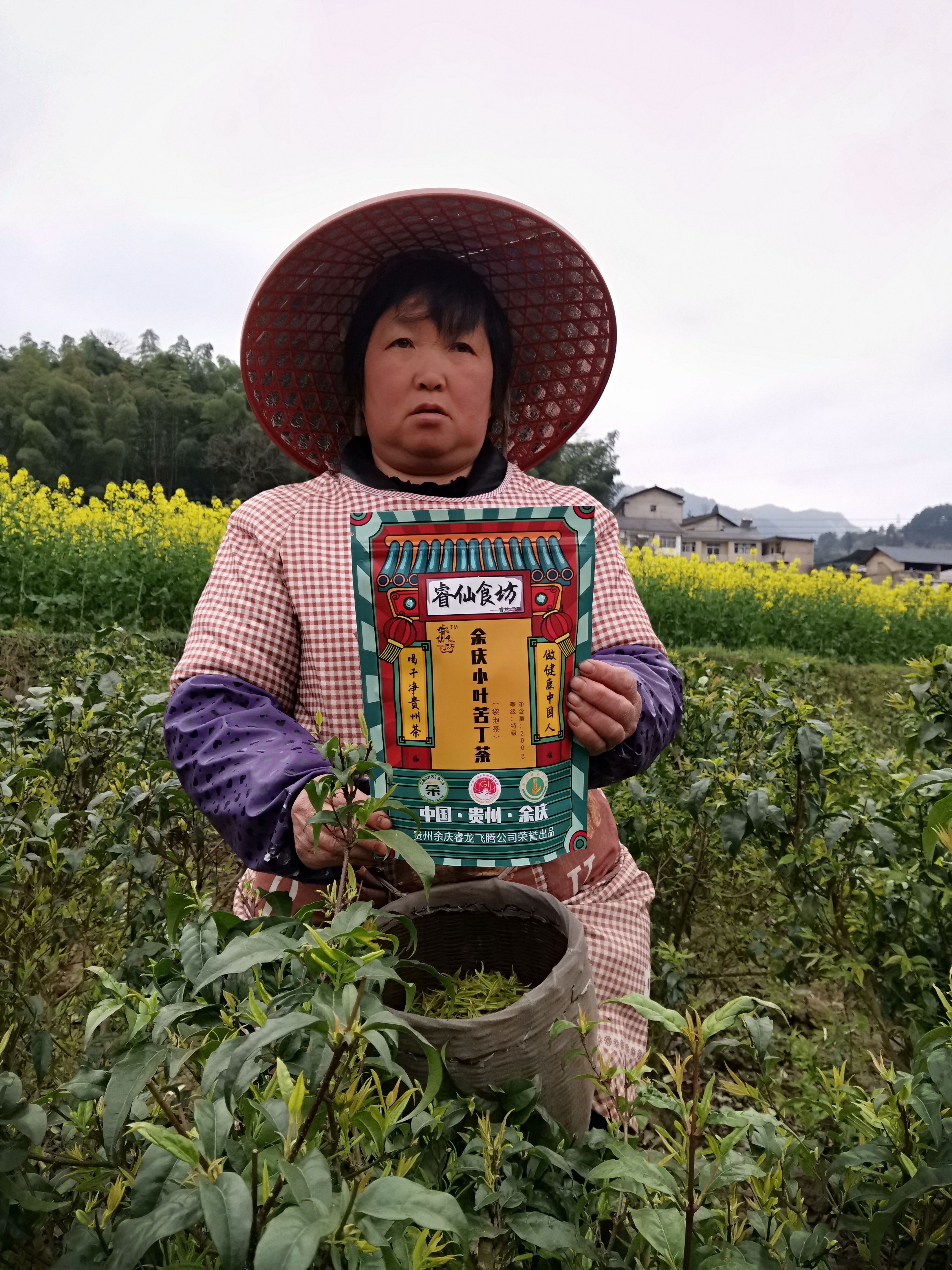 2024余庆小叶苦丁茶 小叶苦丁袋泡茶 一件代发电商专用通道