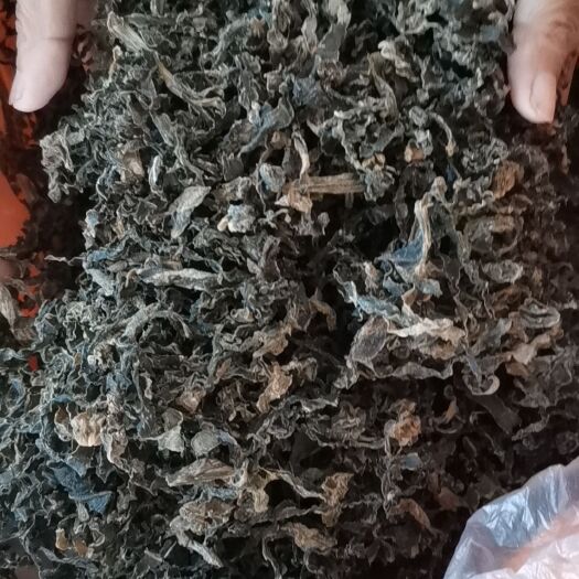 单县花菜叶子梅干菜，打架子自然日光凉晒，干净卫生，量大从优。