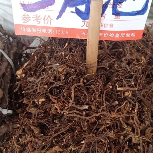 三月泡小三月泡茅梅根蛇泡勒