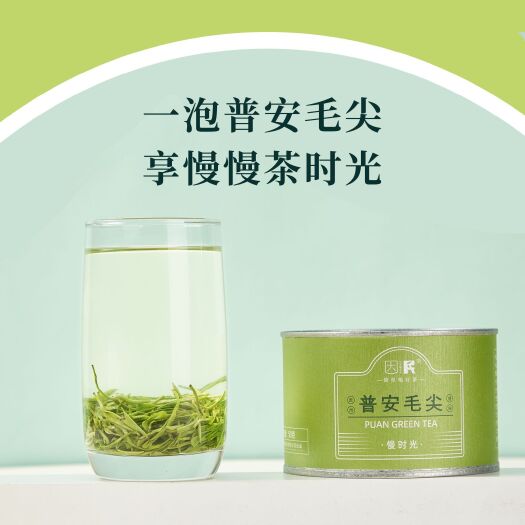 普安县【专业批发】贵州高山多云雾采用单芽制作的特等绿茶 罐装50g